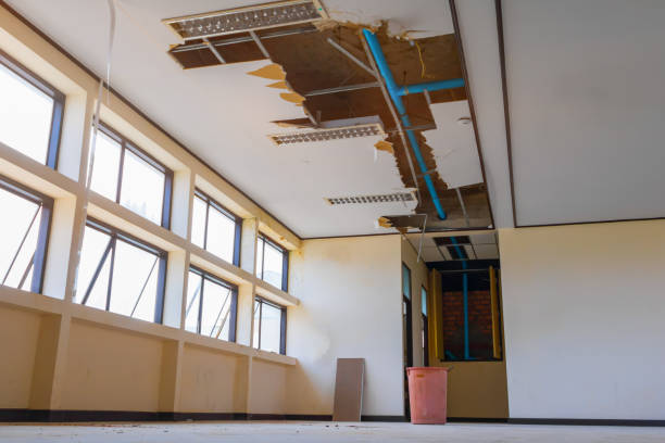  West Park, NJ Water damage restoration Pros