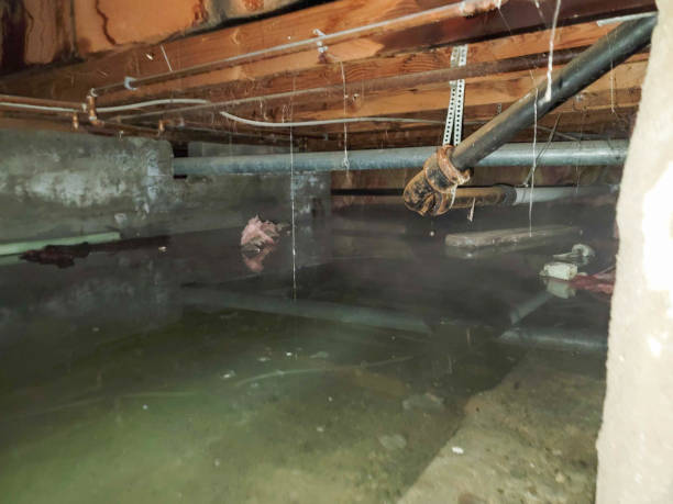 Professional Water damage restoration in West Park, NJ