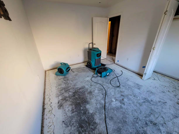 Best 24/7 water damage repair  in West Park, NJ