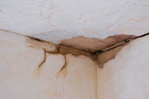 Best Water damage cleanup near me  in West Park, NJ