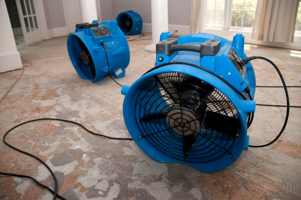 Best Basement water damage restoration  in West Park, NJ