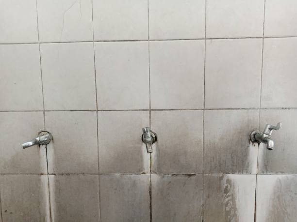 Best Mold removal after water damage  in West Park, NJ