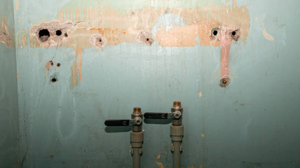Best Fire Damage Restoration  in West Park, NJ