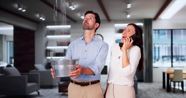 Best Carpet water damage restoration  in West Park, NJ