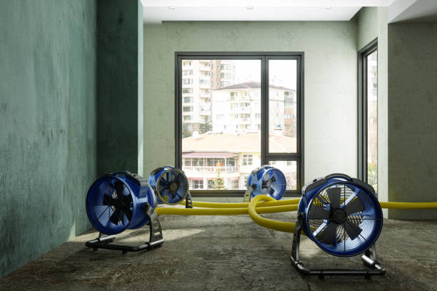 Best Water damage restoration specialists  in West Park, NJ